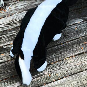 GUC ~ Target Brand's Little Stinker Dog Costume (Size: Large)